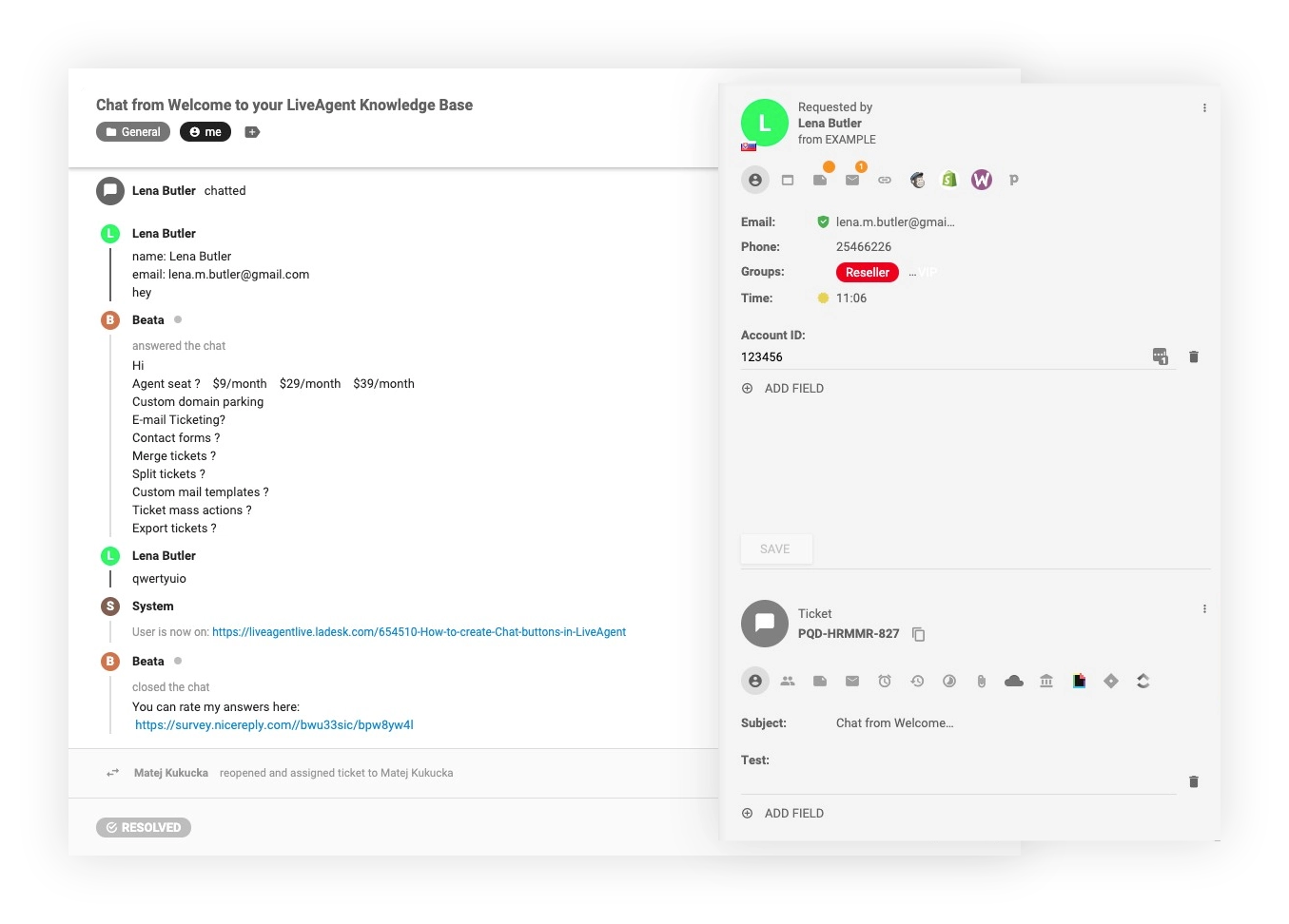 Ticket Klantinzichten CRM