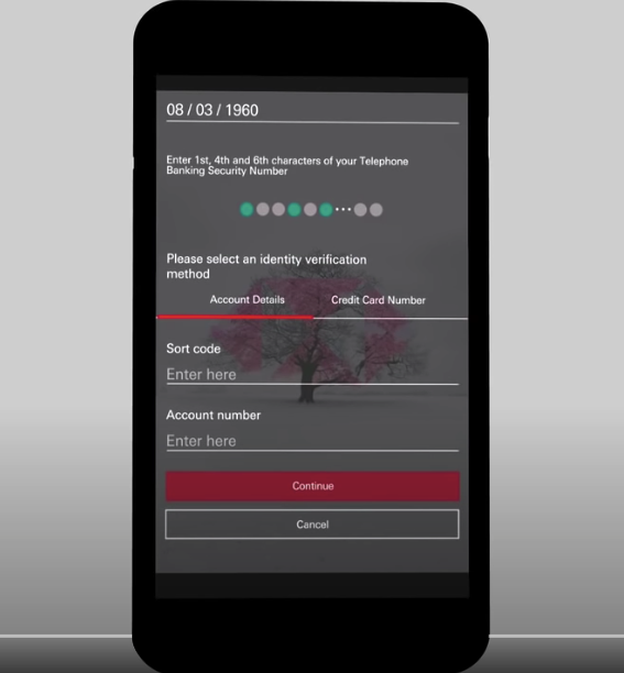 HSBC wachtwoordinvoer voorbeeld