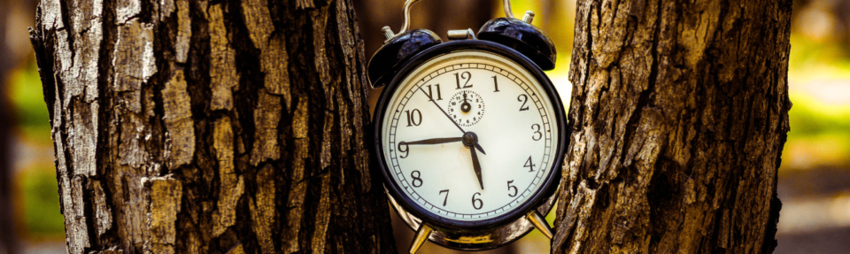 Hoe u in 2025 de beste real-time klantenondersteuning kunt bieden