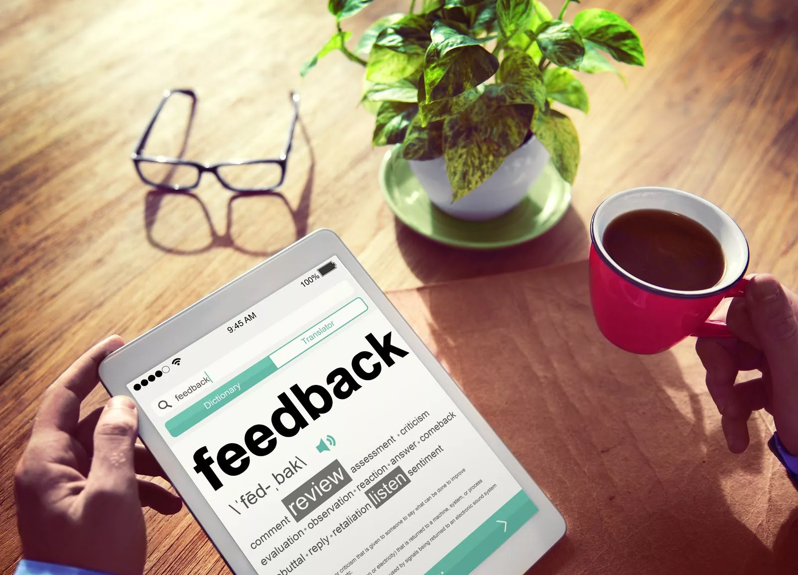 Definition of the word feedback