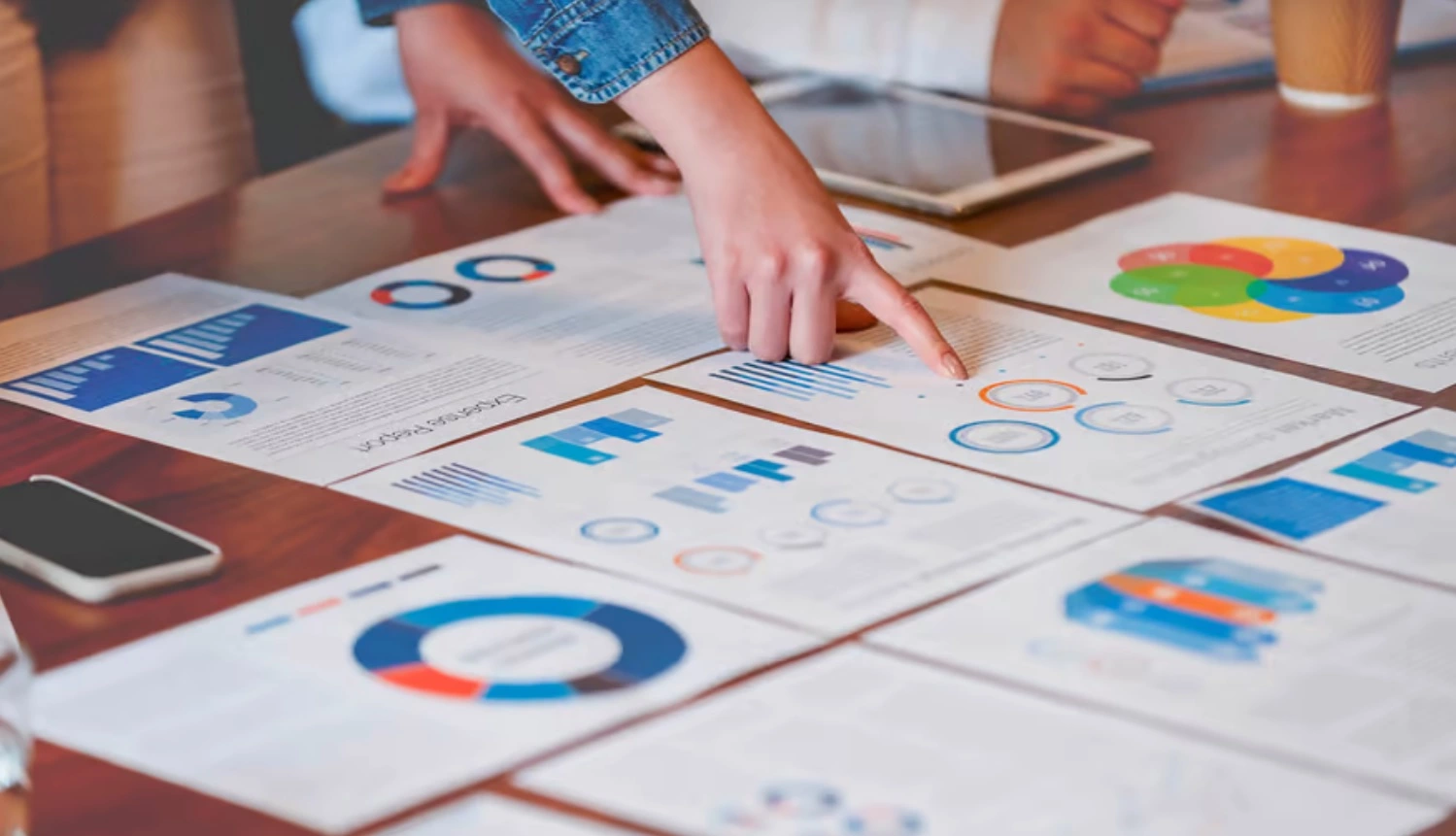 Project plan and review