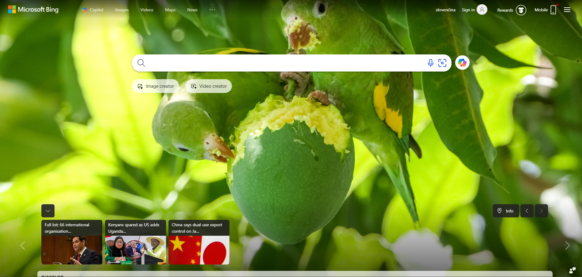 Bing Help Desk Contacten