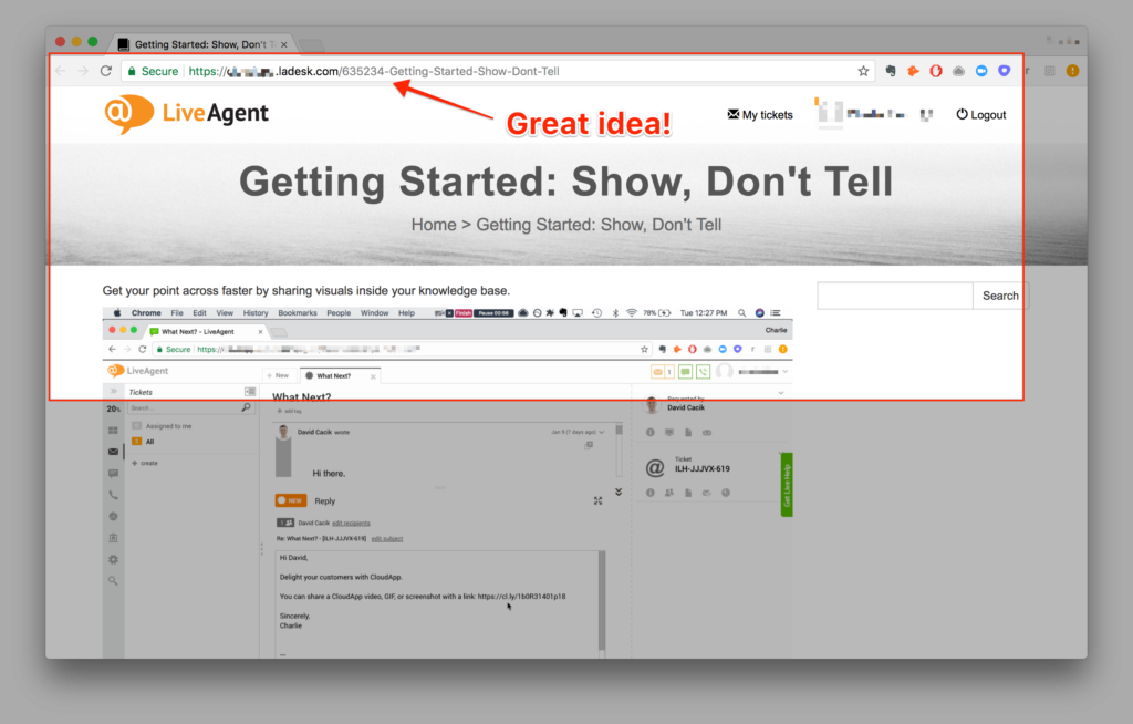 CloudApp bewerk- en annotatiefunction