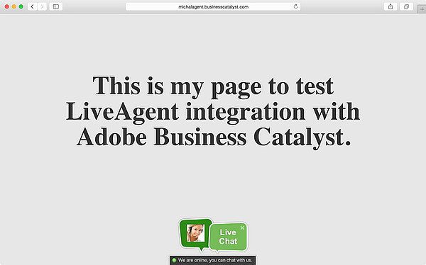 LiveAgent Adobe Business Catalyst integration