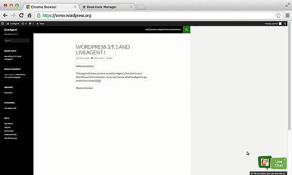 LiveAgent-WordPress-integratie
