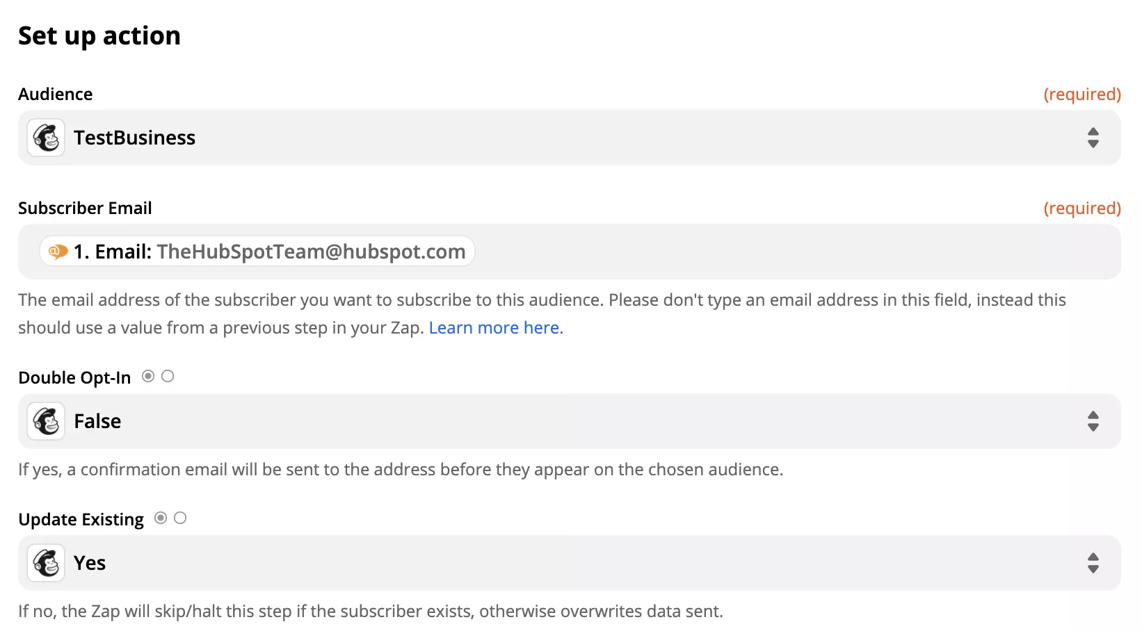 Mailchimp-actieopstelling