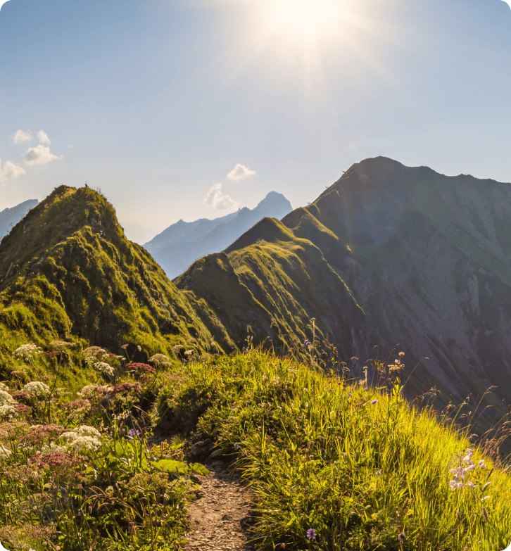 Hoe ZlavaDna de klantenondersteuning verbeterde met LiveAgent